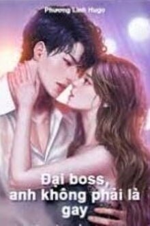 Đại Boss, Anh Không Phải Là Gay!